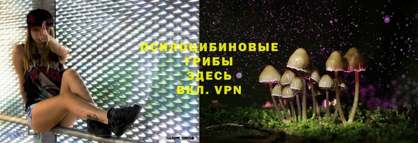 PSILOCYBIN Дмитров