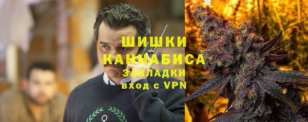 PSILOCYBIN Дмитров