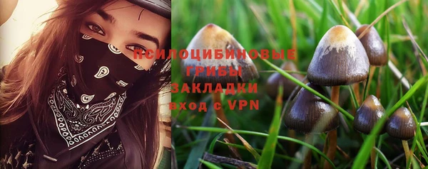 кокс Дмитровск